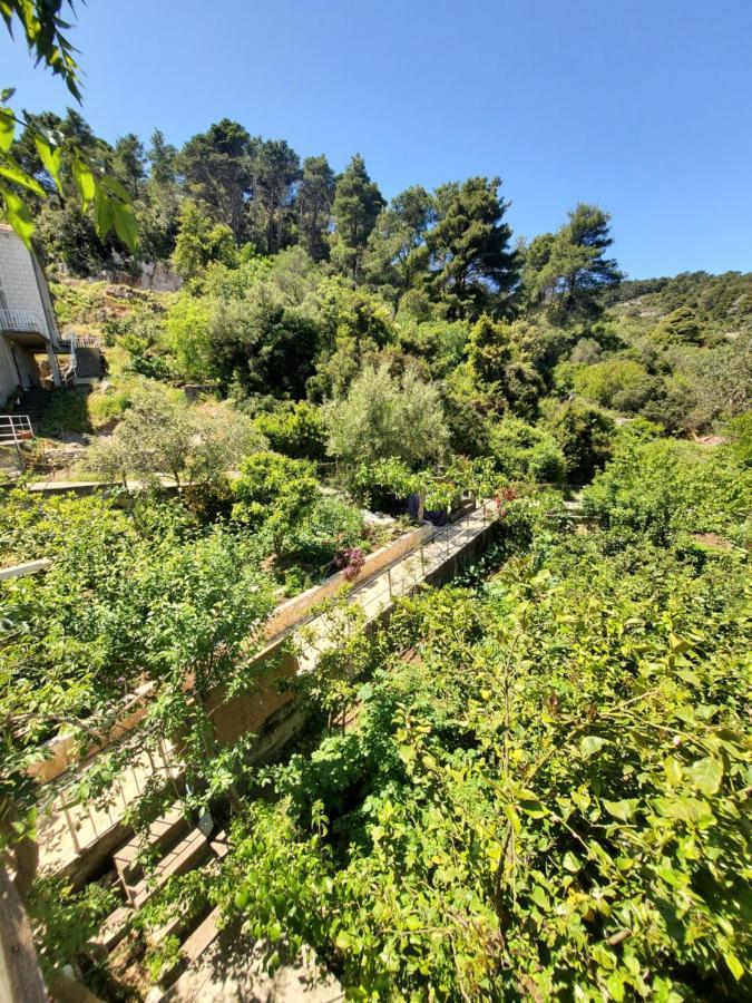 Polače Apartments Dabelic מראה חיצוני תמונה